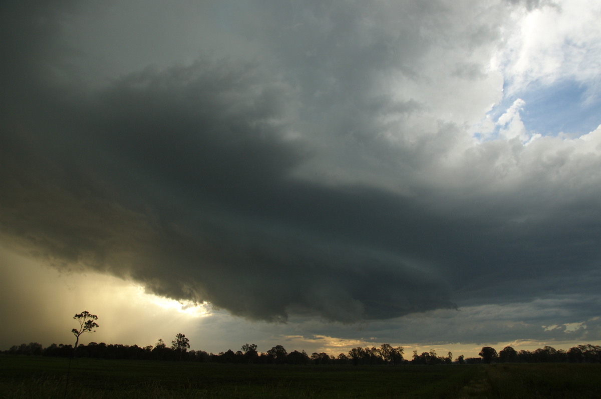 wallcloud thunderstorm_wall_cloud : McKees Hill, NSW   10 December 2008