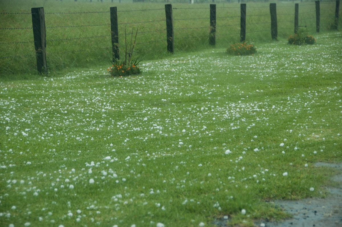 hailstones hail_stones : Clovass, NSW   10 December 2008