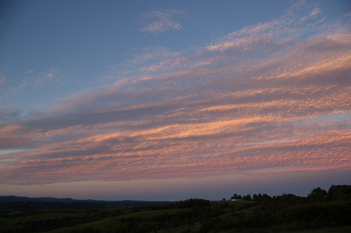 sunset sunset_pictures : McLeans Ridges, NSW   14 December 2008