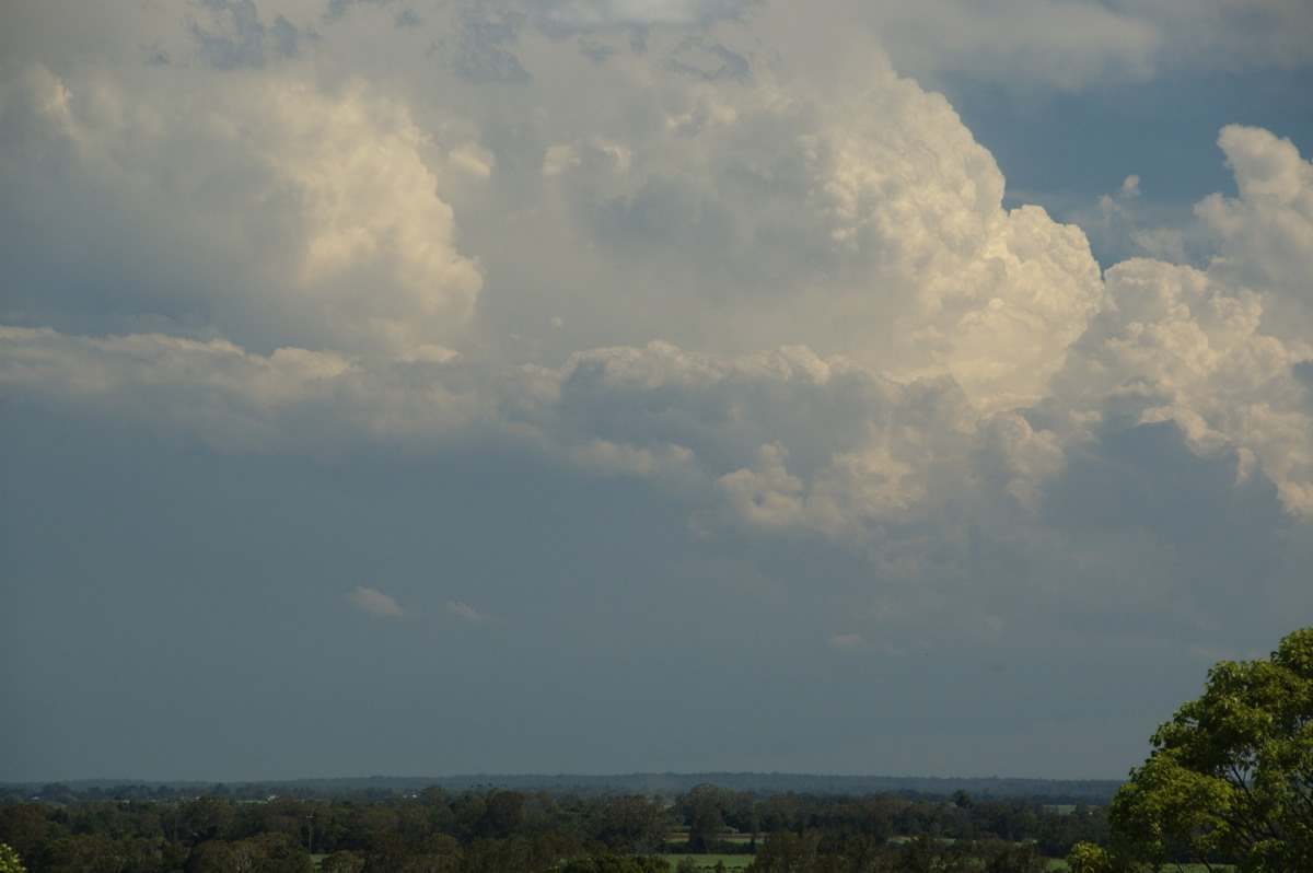 updraft thunderstorm_updrafts : Tuckurimba, NSW   18 December 2008