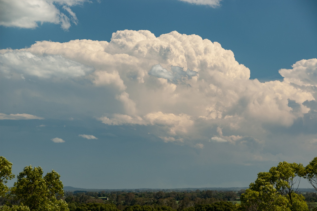 thunderstorm cumulonimbus_incus : Tuckurimba, NSW   18 December 2008