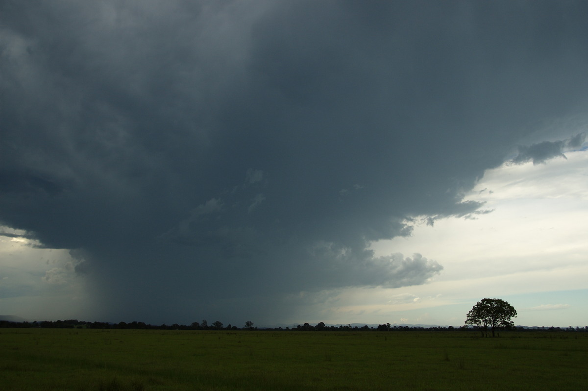 raincascade precipitation_cascade : N of Casino, NSW   18 December 2008