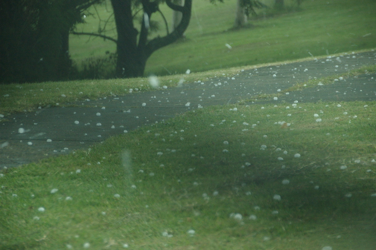 precipitation precipitation_rain : Kyogle, NSW   18 December 2008