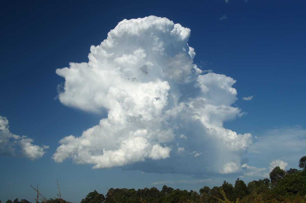 updraft thunderstorm_updrafts : McLeans Ridges, NSW   19 December 2008