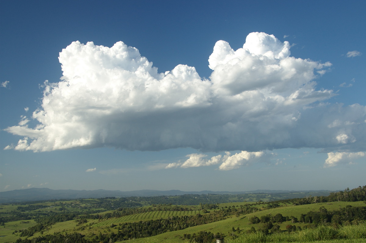 cumulus congestus : McLeans Ridges, NSW   19 December 2008