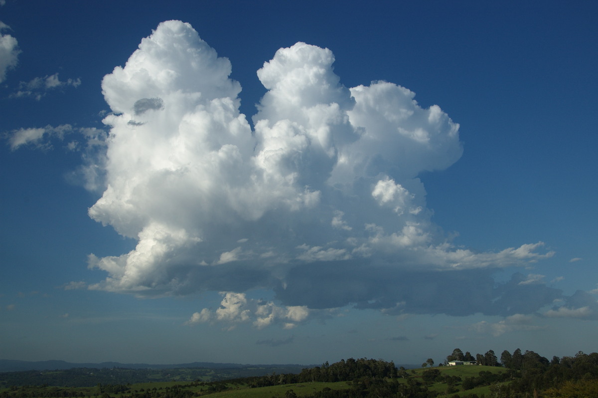 cumulus congestus : McLeans Ridges, NSW   19 December 2008