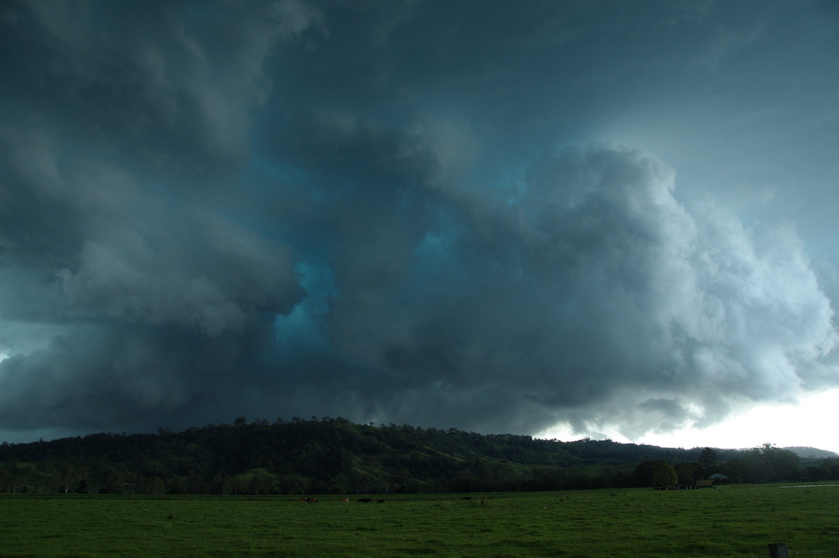 shelfcloud shelf_cloud : Kyogle, NSW   24 December 2008