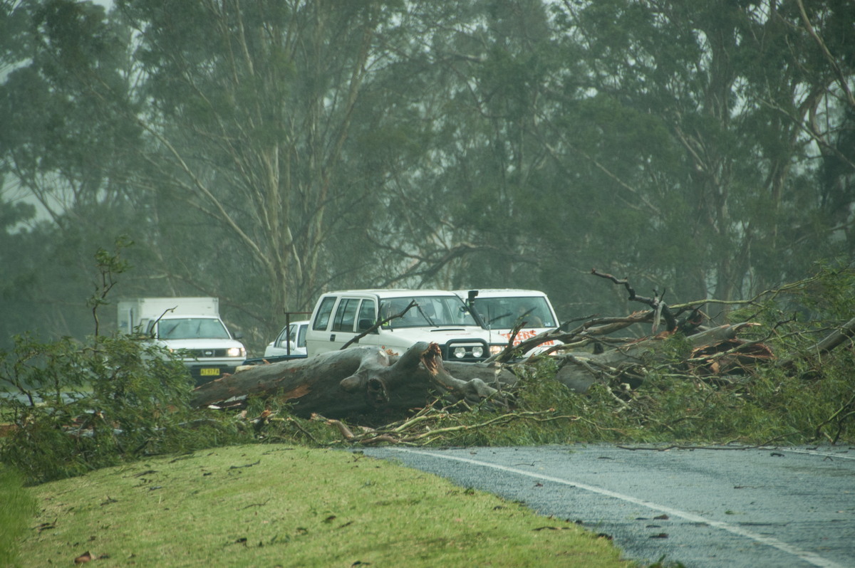 disasters storm_damage : N of Kyogle, NSW   24 December 2008