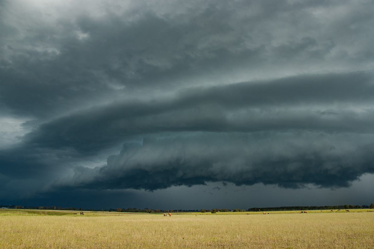 shelfcloud shelf_cloud : N of Casino, NSW   24 December 2008