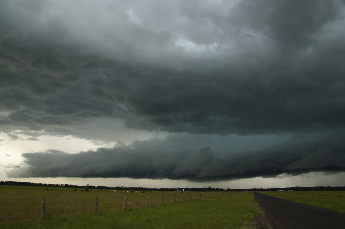 shelfcloud shelf_cloud : N of Casino, NSW   24 December 2008