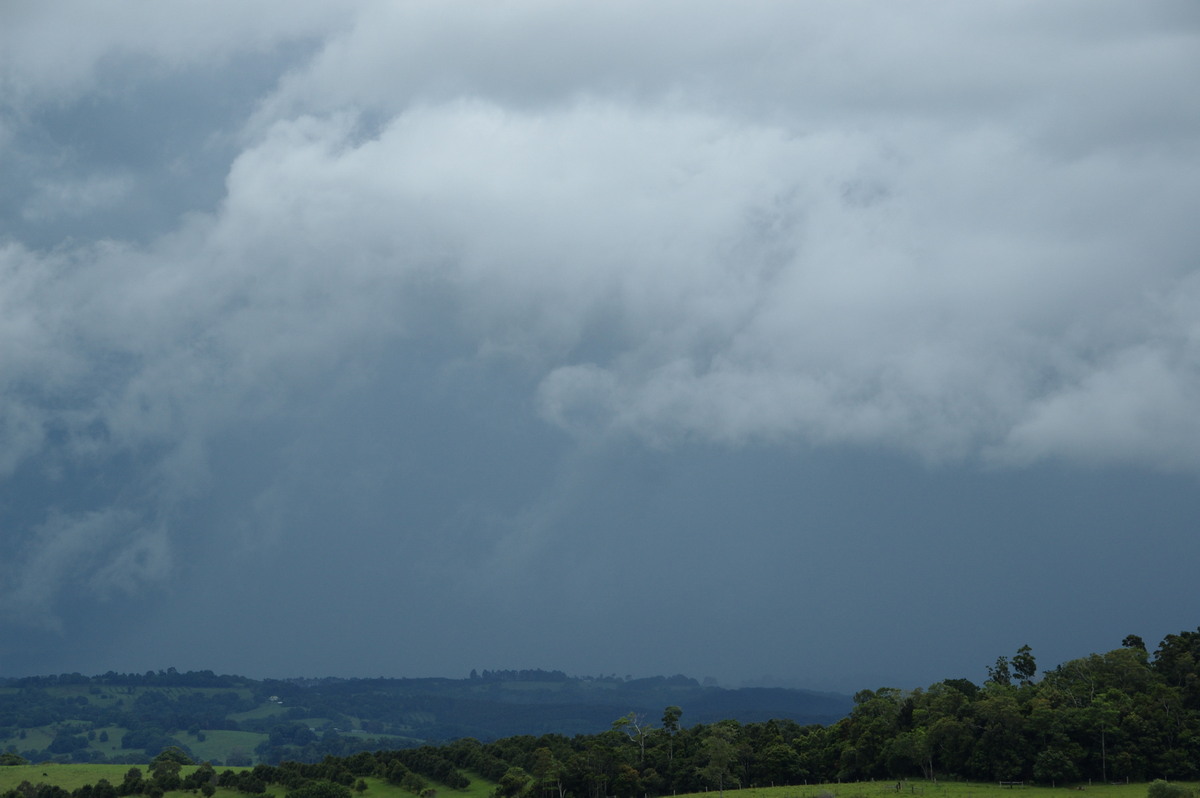 stratocumulus stratocumulus_cloud : McLeans Ridges, NSW   28 December 2008