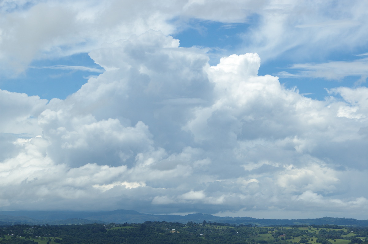 thunderstorm cumulonimbus_calvus : McLeans Ridges, NSW   28 December 2008