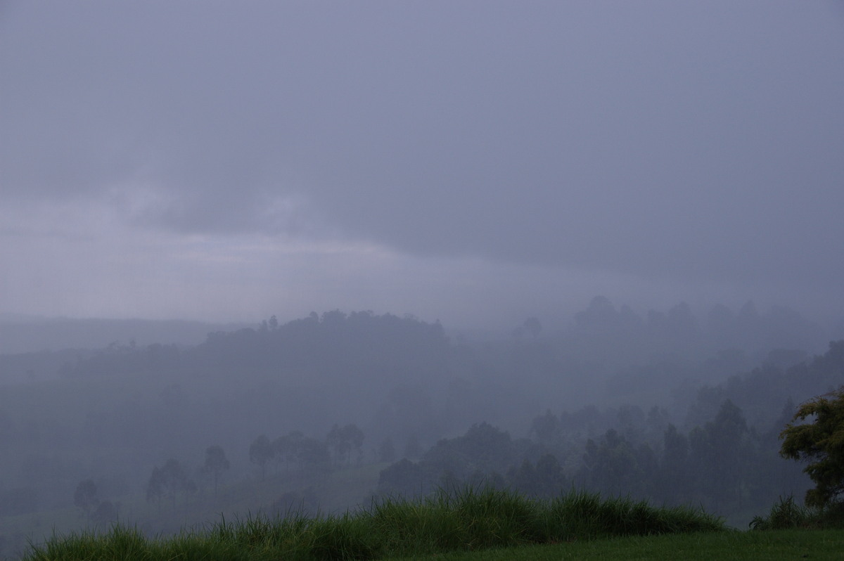 raincascade precipitation_cascade : McLeans Ridges, NSW   28 December 2008