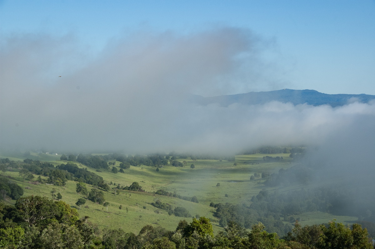 fogmist fog_mist_frost : McLeans Ridges, NSW   29 December 2008