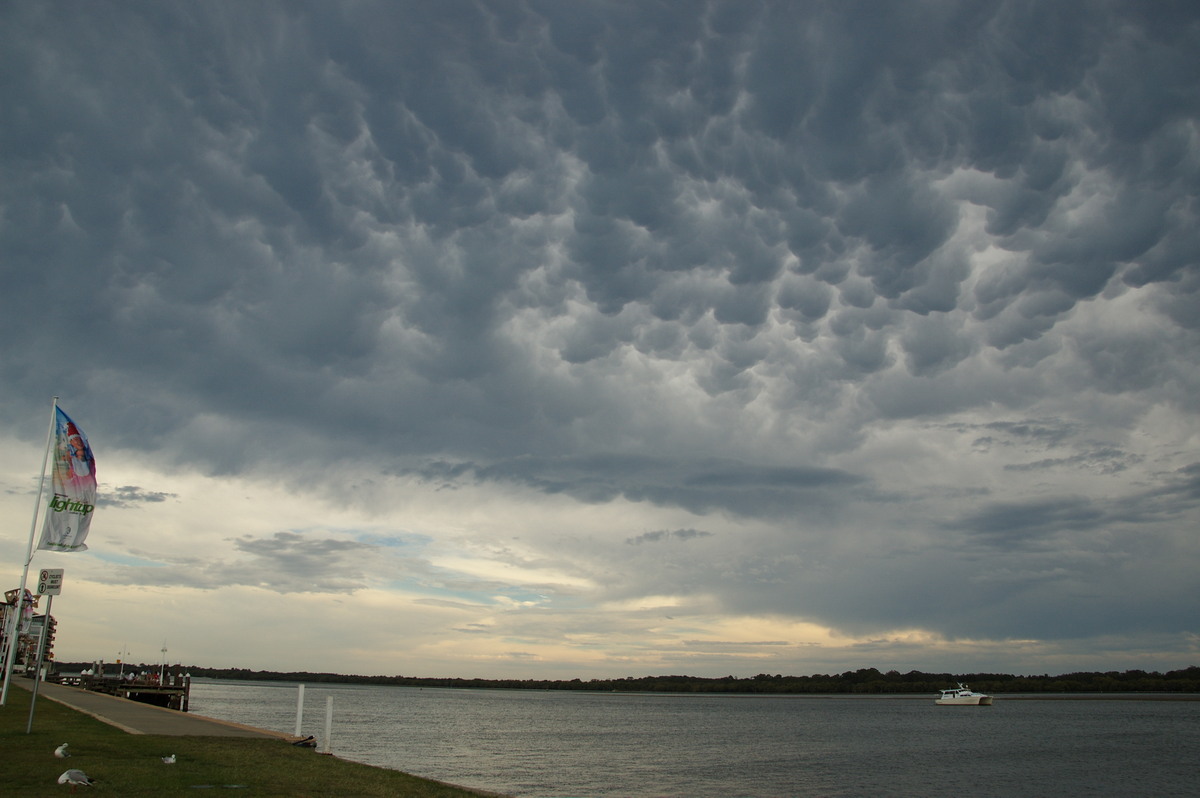 mammatus mammatus_cloud : Ballina, NSW   29 December 2008