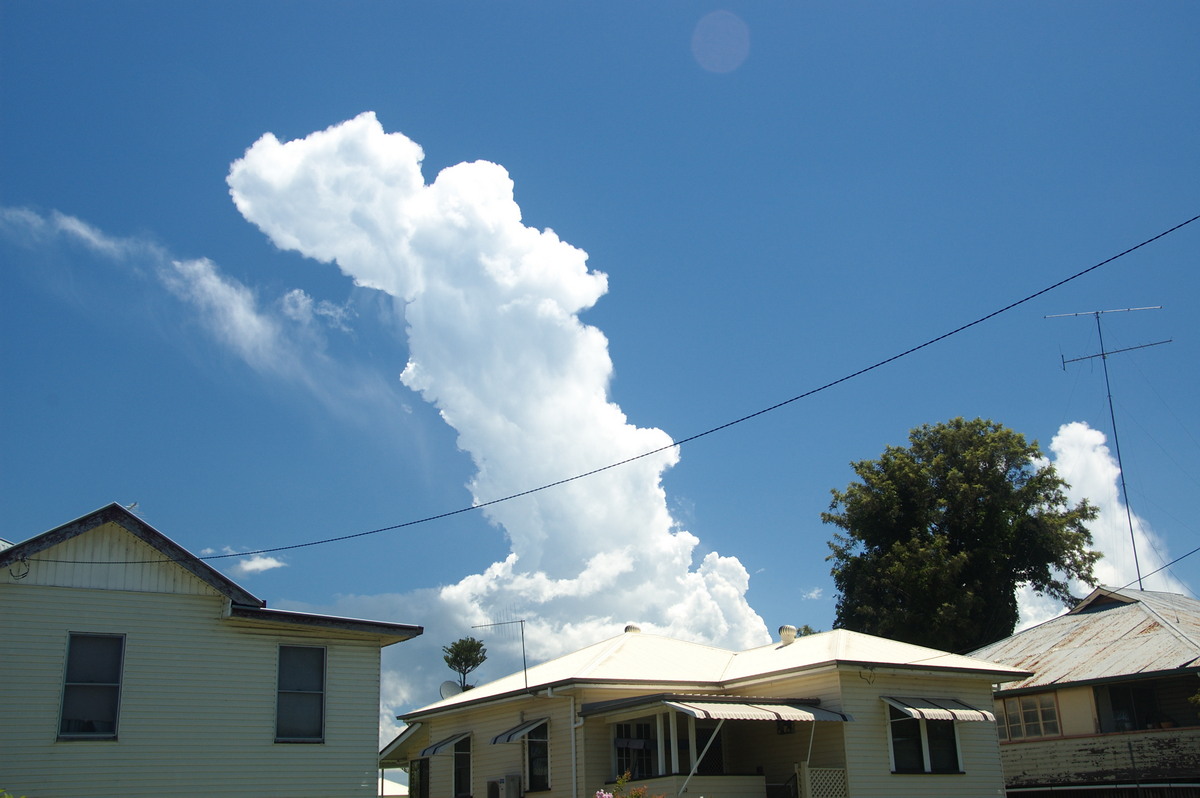 cumulus congestus : Lismore, NSW   30 December 2008