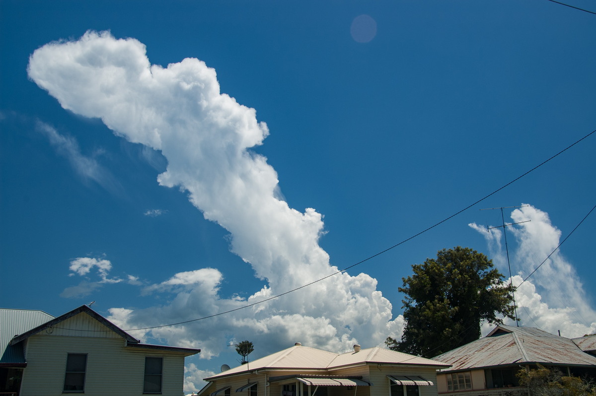 cumulus congestus : Lismore, NSW   30 December 2008