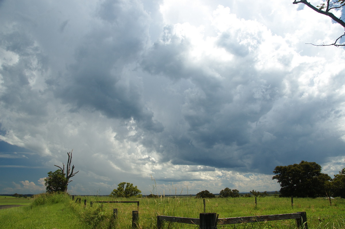 cumulonimbus thunderstorm_base : McKees Hill, NSW   30 December 2008