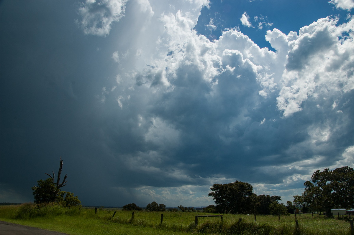 cumulus congestus : McKees Hill, NSW   30 December 2008