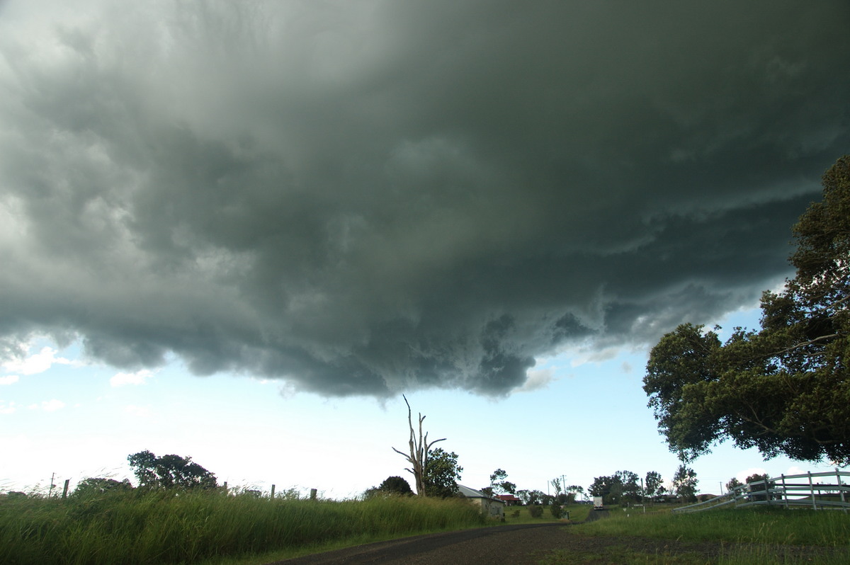 cumulonimbus thunderstorm_base : McKees Hill, NSW   30 December 2008