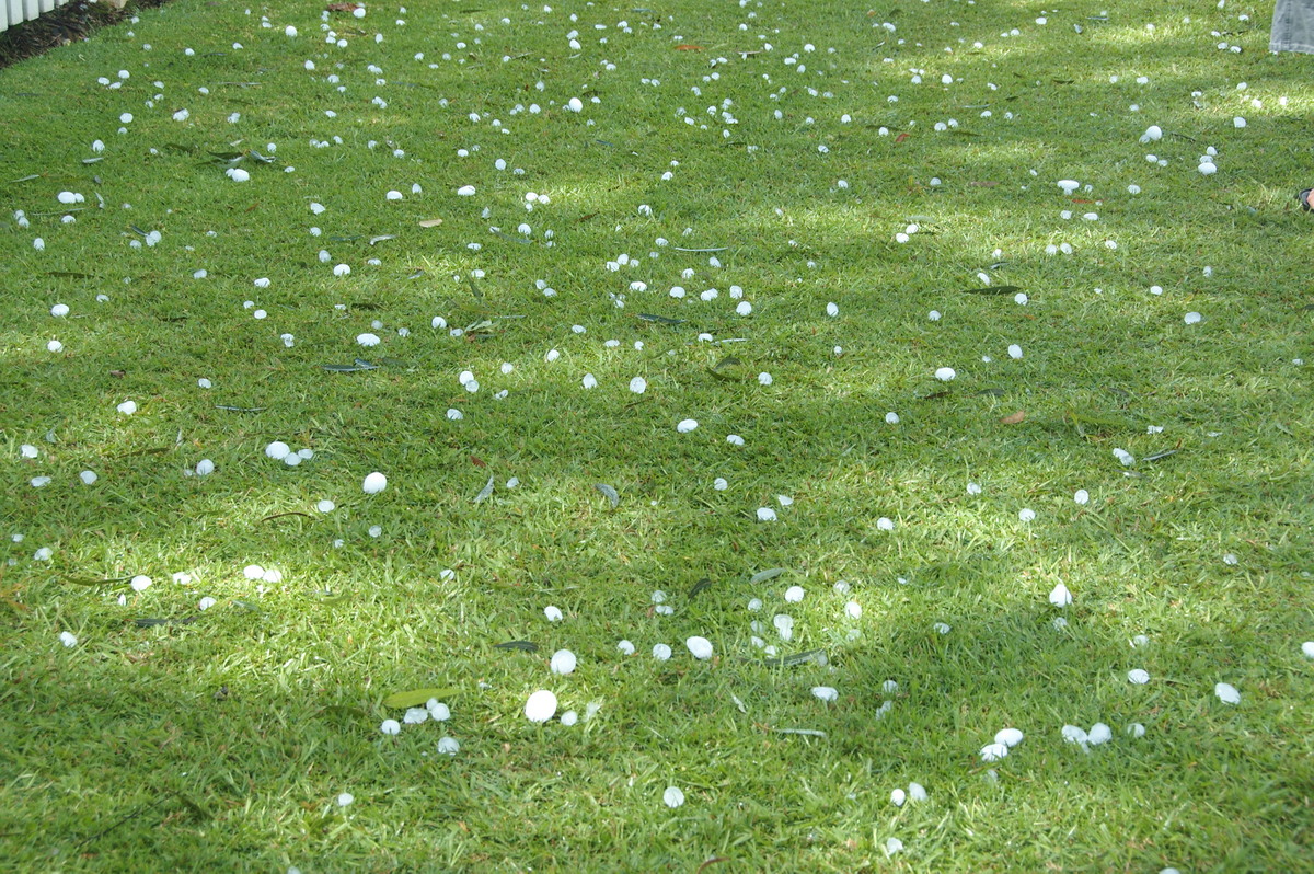 hailstones hail_stones : Lismore, NSW   30 December 2008