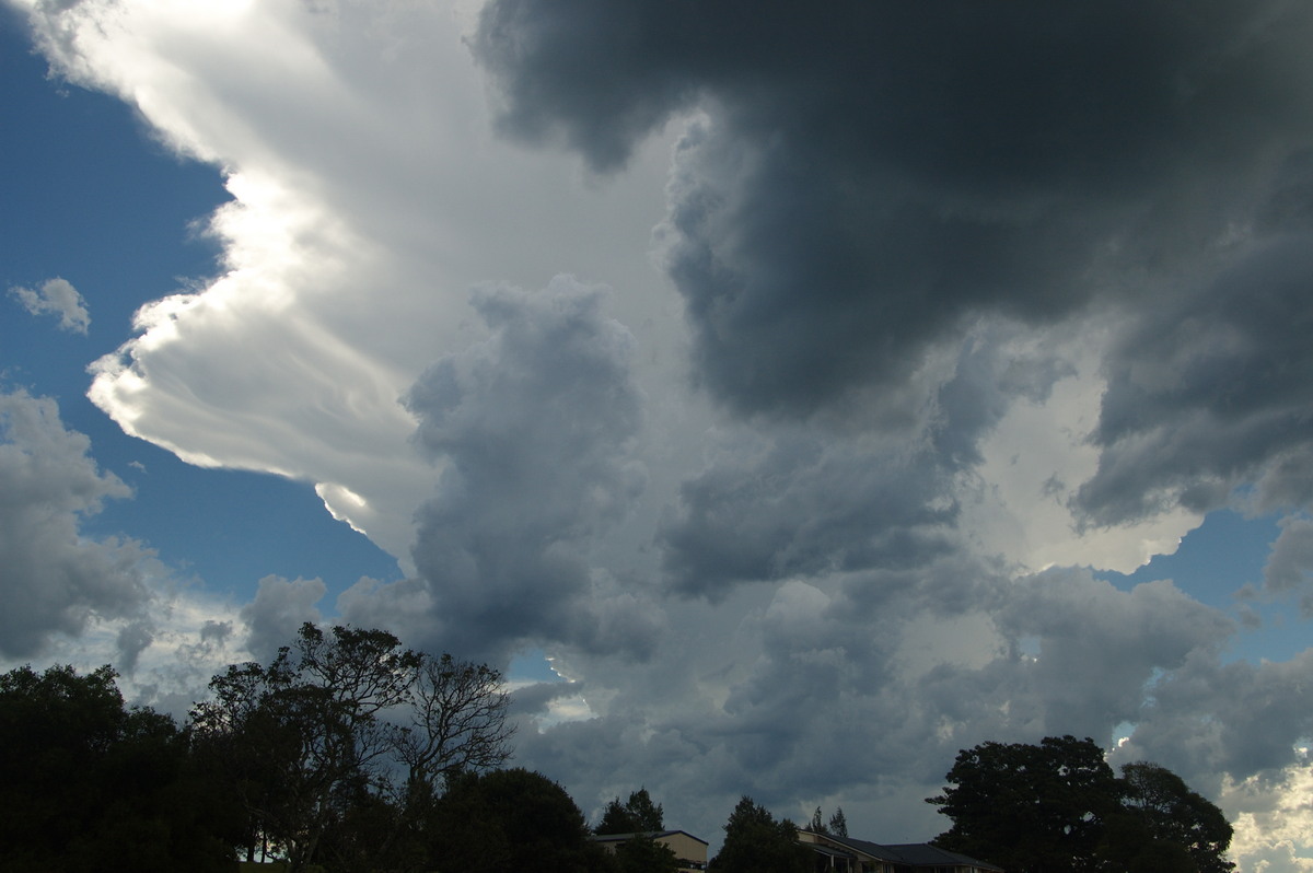 thunderstorm cumulonimbus_incus : McLeans Ridges, NSW   30 December 2008