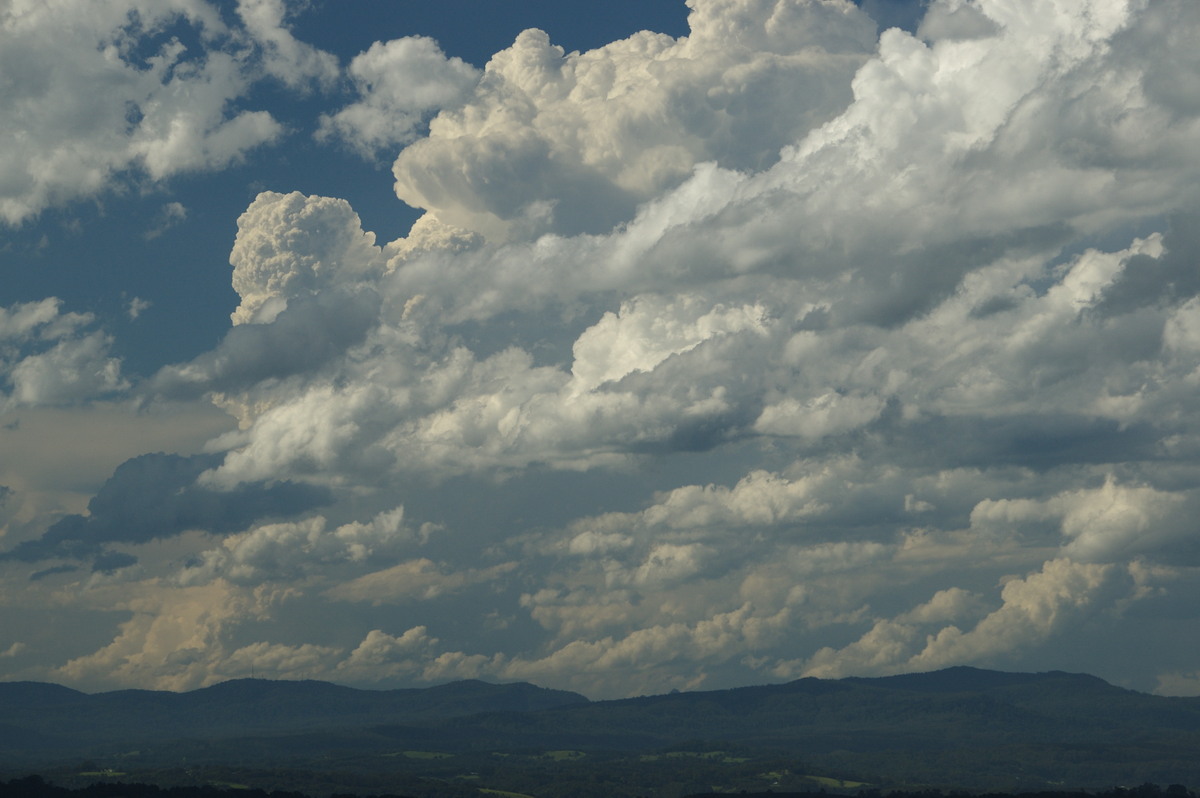 cumulus mediocris : McLeans Ridges, NSW   30 December 2008