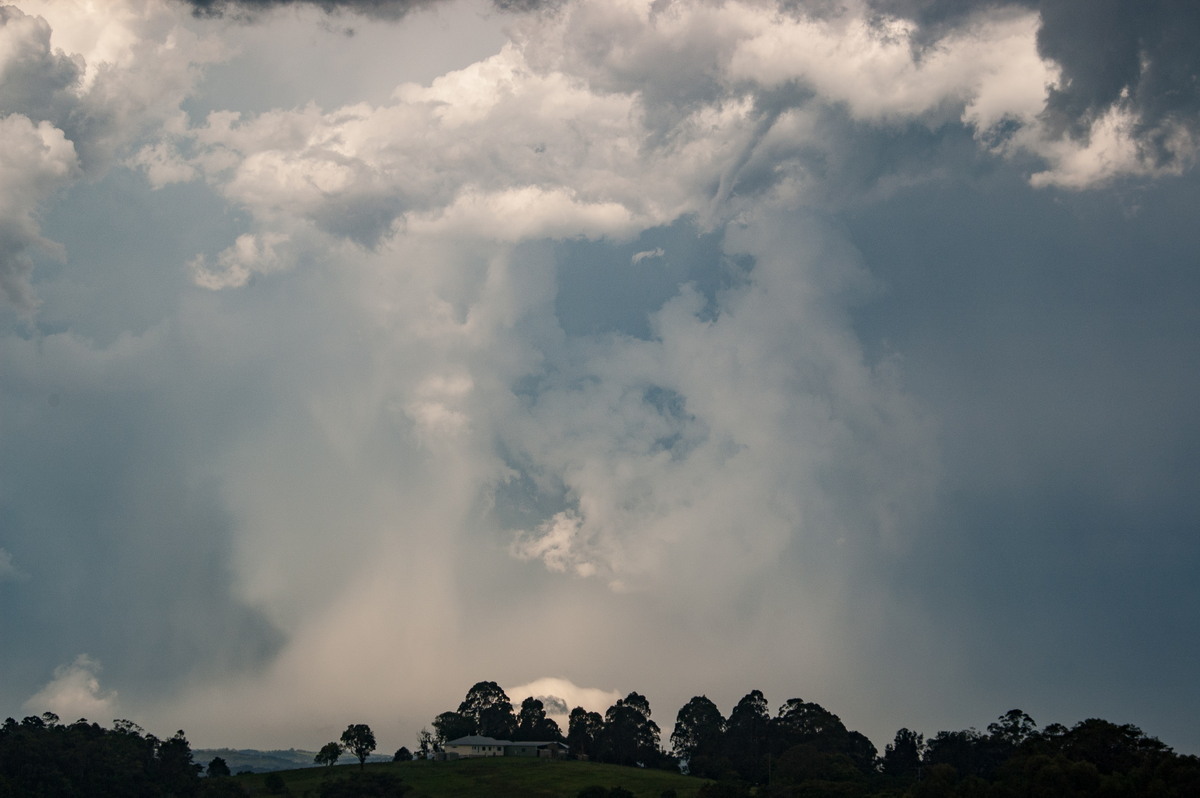 cumulonimbus thunderstorm_base : McLeans Ridges, NSW   30 December 2008