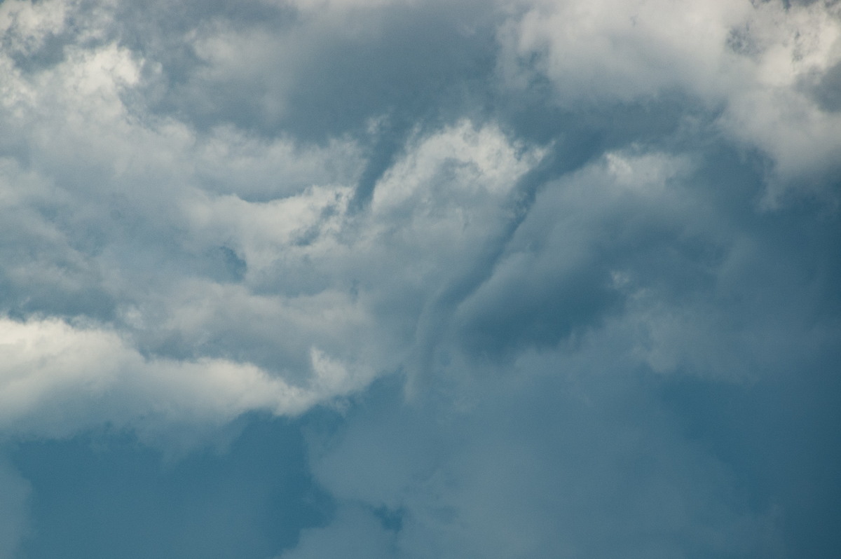 tornadoes funnel_tornado_waterspout : McLeans Ridges, NSW   30 December 2008