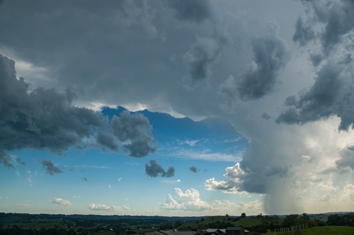 anvil thunderstorm_anvils : McLeans Ridges, NSW   30 December 2008