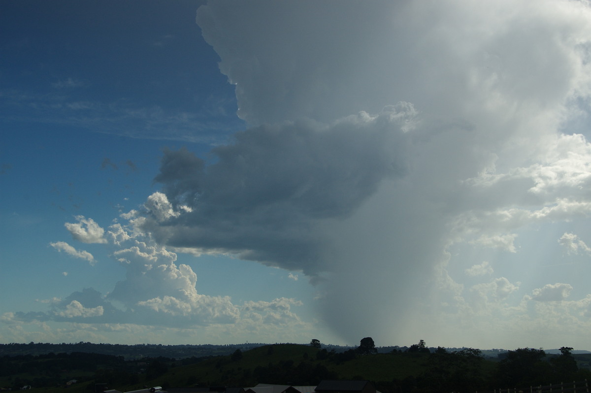 raincascade precipitation_cascade : McLeans Ridges, NSW   30 December 2008