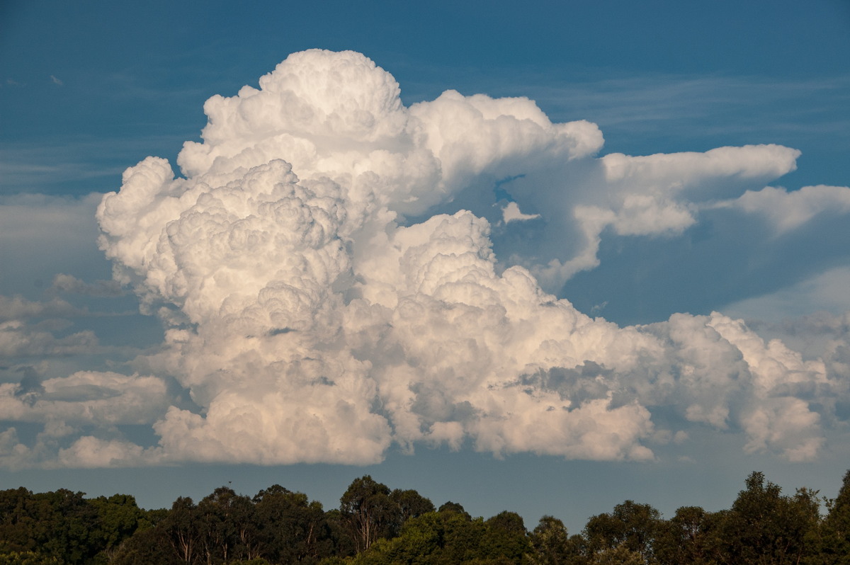 overshoot overshooting_top : McLeans Ridges, NSW   30 December 2008