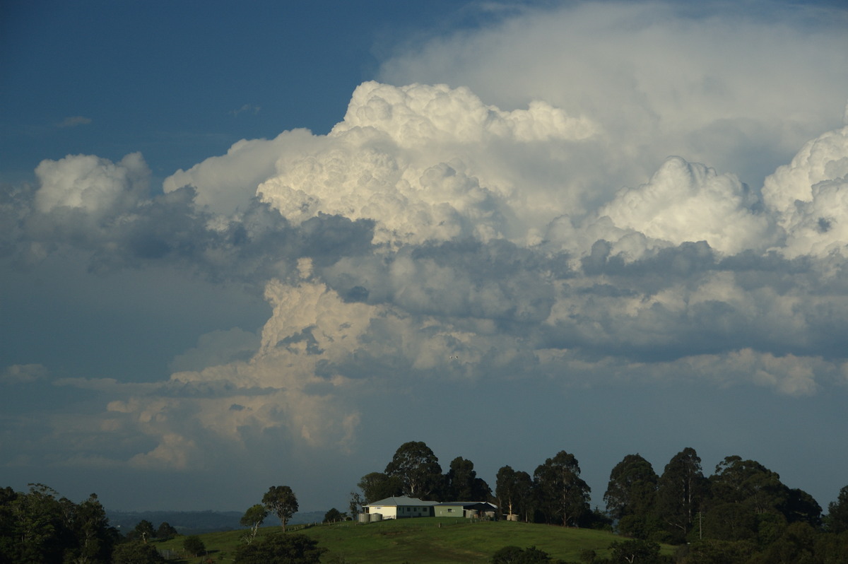 updraft thunderstorm_updrafts : McLeans Ridges, NSW   30 December 2008