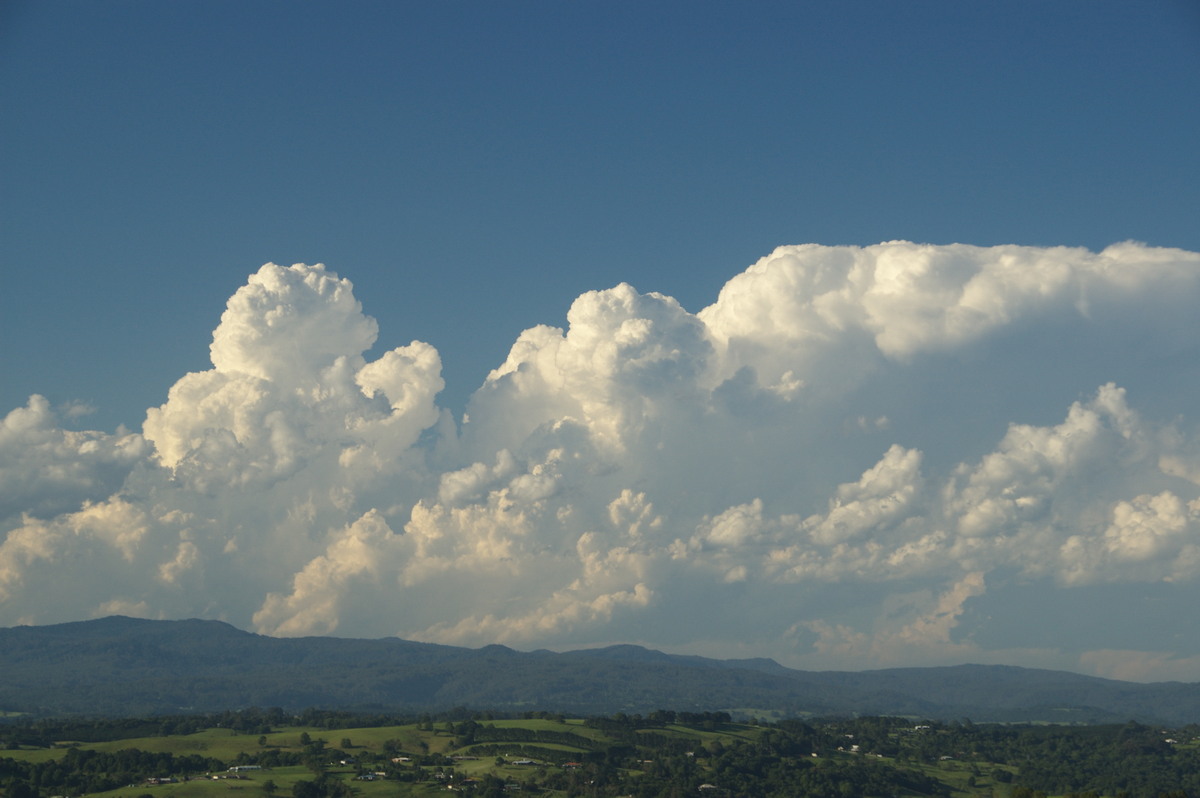 thunderstorm cumulonimbus_incus : McLeans Ridges, NSW   30 December 2008