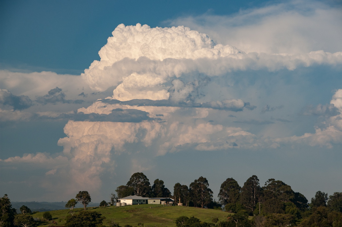 thunderstorm cumulonimbus_incus : McLeans Ridges, NSW   30 December 2008