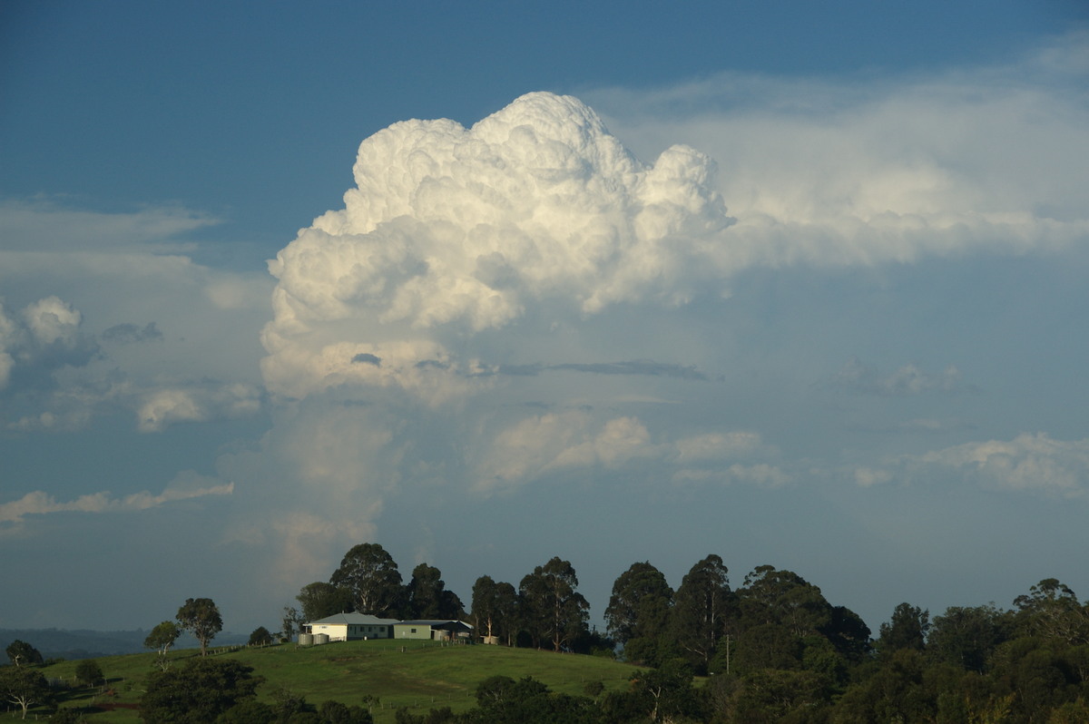 thunderstorm cumulonimbus_incus : McLeans Ridges, NSW   30 December 2008