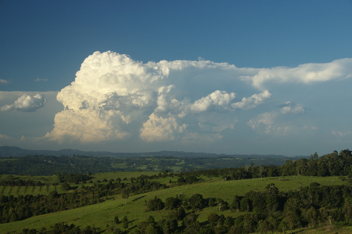 cumulonimbus supercell_thunderstorm : McLeans Ridges, NSW   30 December 2008