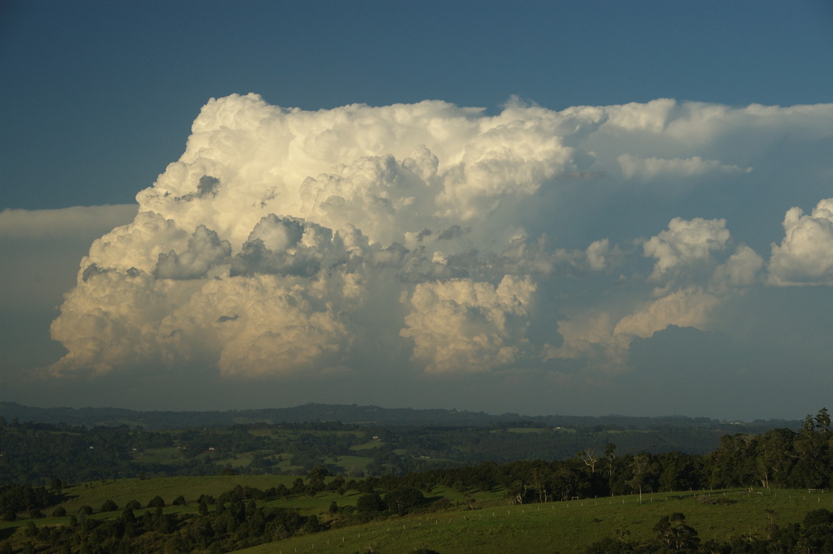 thunderstorm cumulonimbus_incus : McLeans Ridges, NSW   30 December 2008