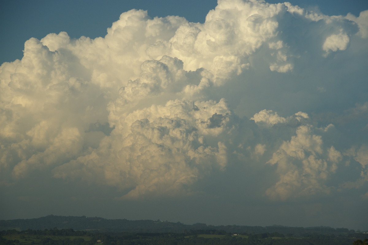 updraft thunderstorm_updrafts : McLeans Ridges, NSW   30 December 2008