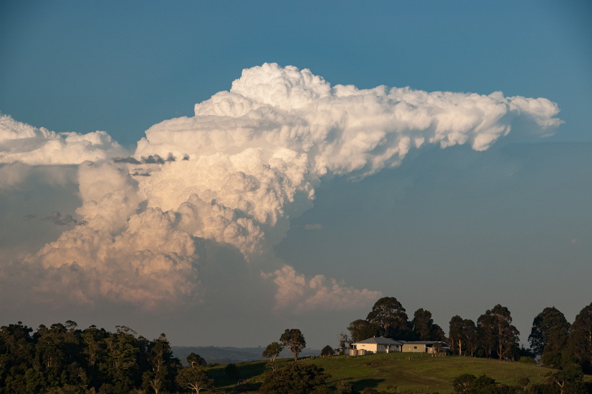 updraft thunderstorm_updrafts : McLeans Ridges, NSW   30 December 2008