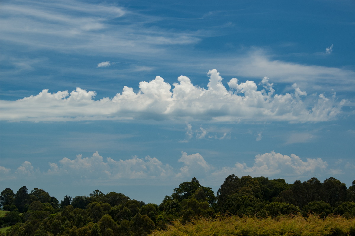 altocumulus castellanus : McLeans Ridges, NSW   1 January 2009