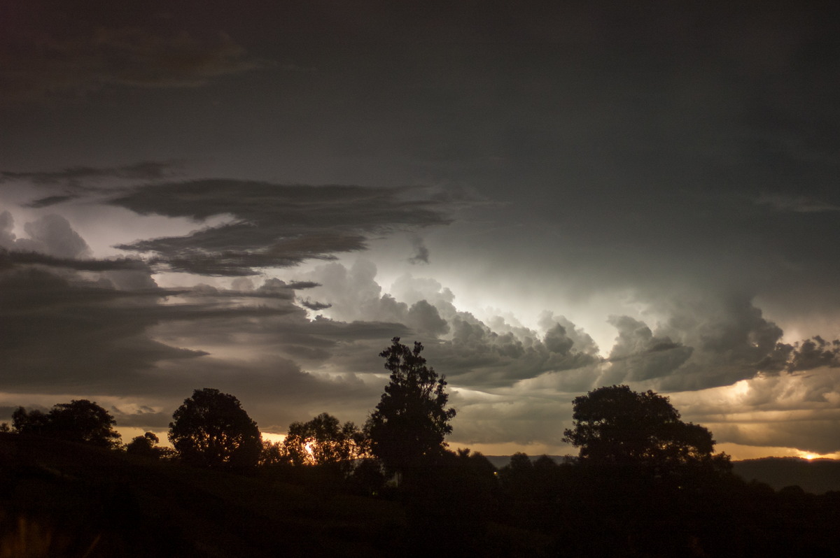 lightning lightning_bolts : McLeans Ridges, NSW   1 January 2009