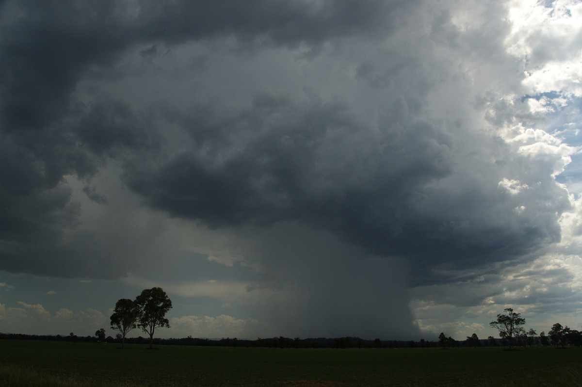 microburst micro_burst : Shannon Brook, NSW   16 January 2009