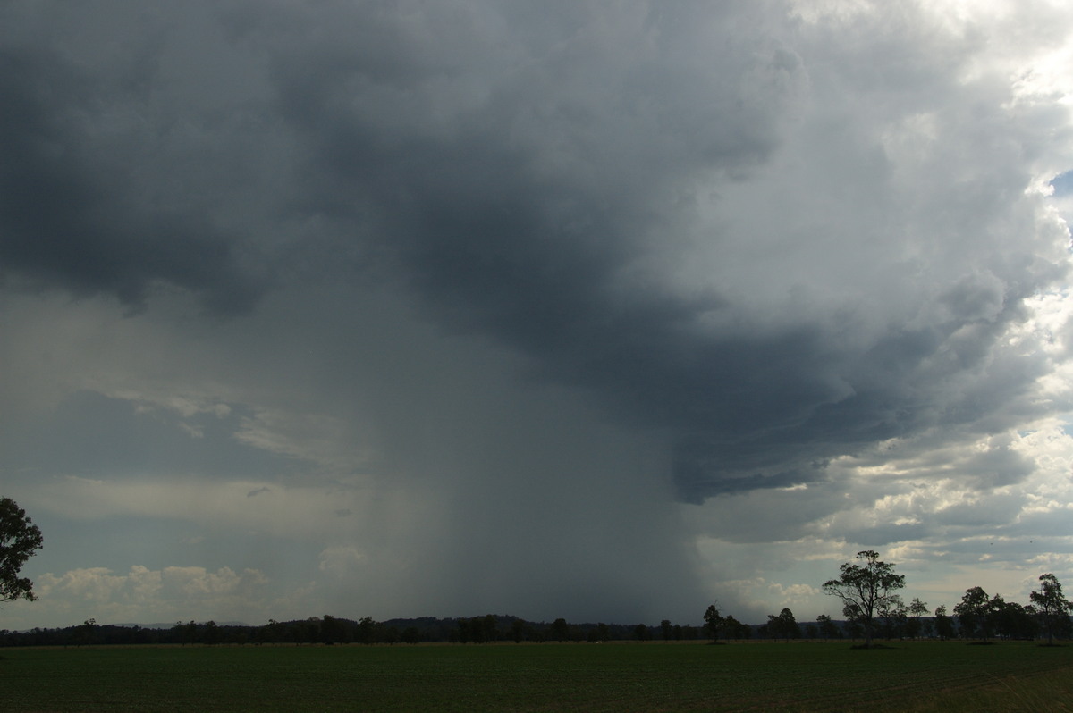 microburst micro_burst : Shannon Brook, NSW   16 January 2009