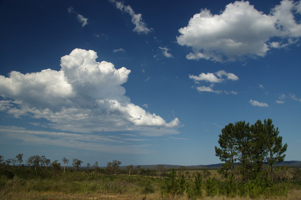 cumulus mediocris : Whiporie, NSW   16 January 2009