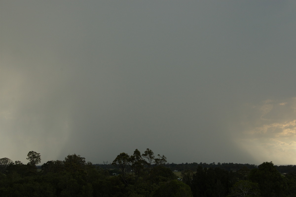 raincascade precipitation_cascade : Junction Hill, NSW   16 January 2009