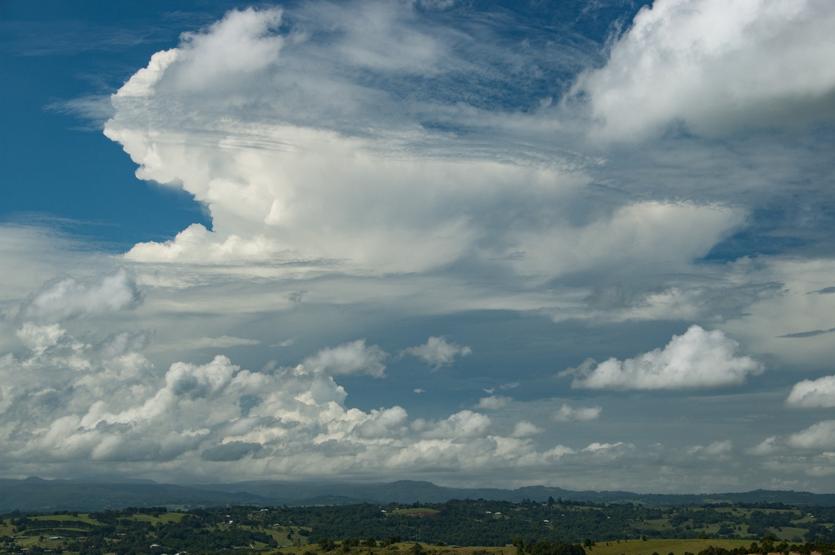 thunderstorm cumulonimbus_incus : McLeans Ridges, NSW   23 January 2009