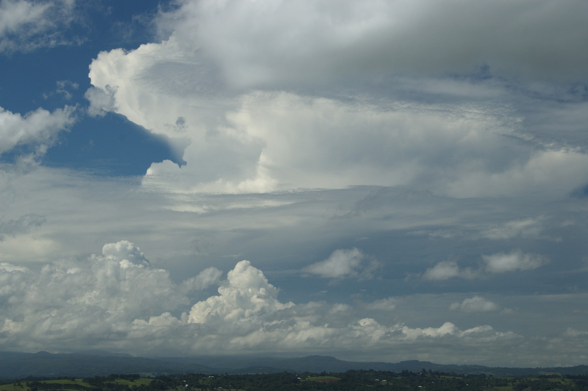 thunderstorm cumulonimbus_incus : McLeans Ridges, NSW   23 January 2009