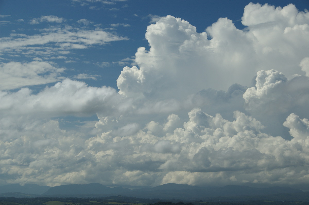 thunderstorm cumulonimbus_calvus : McLeans Ridges, NSW   23 January 2009