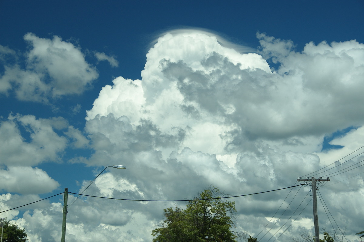 pileus pileus_cap_cloud : Tenterfield, NSW   24 January 2009